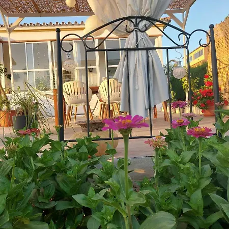 Buena Vista فندق مبيت وإفطار Alhaurín el Grande